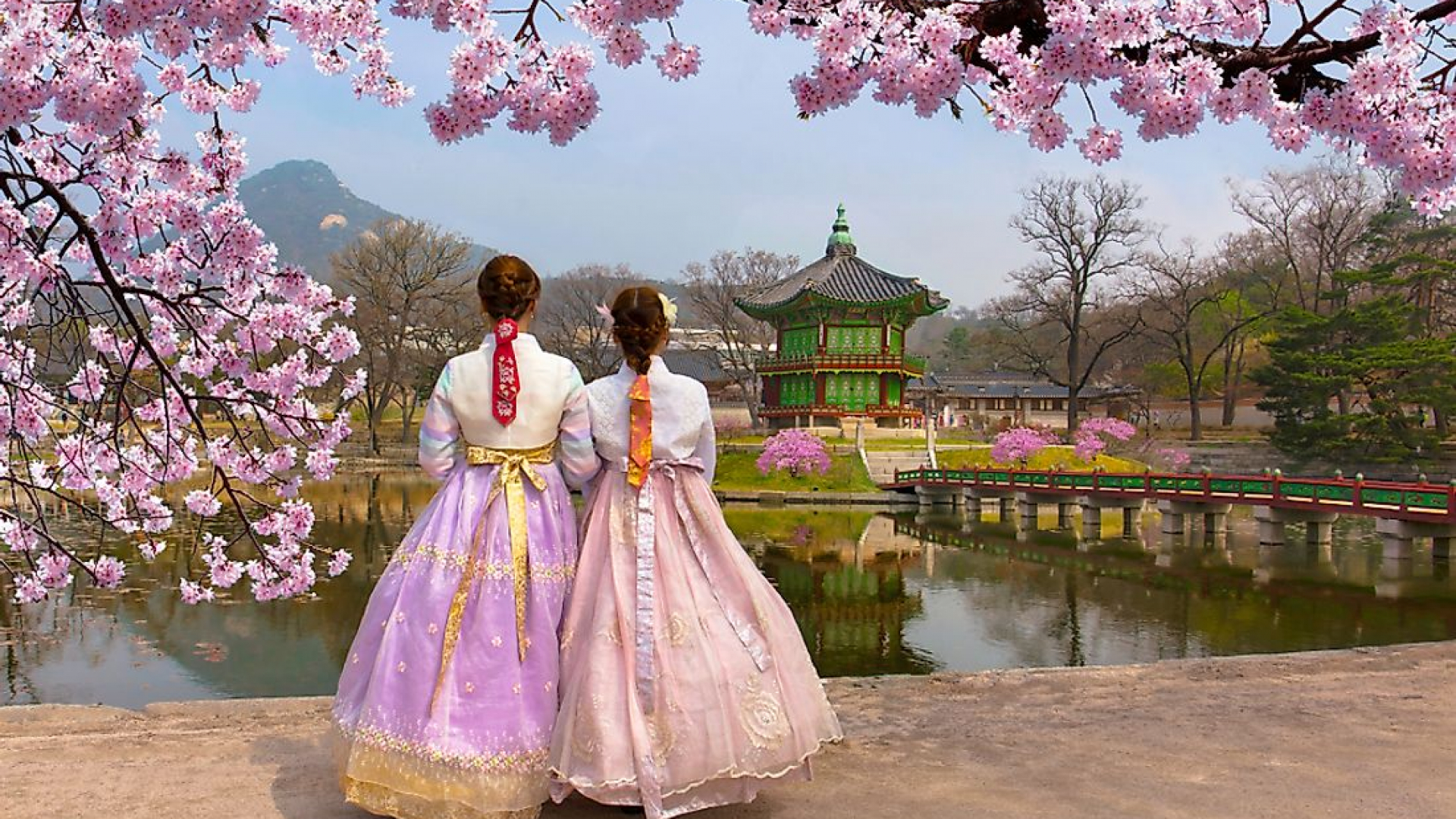 San'at sohasida o'qimoqchi bo'lganlar uchun Korea National University of Arts tomonidan xalqaro talabalar uchun toʻliq qoplanuvchi Art Major Asian plus Scholarship dasturi