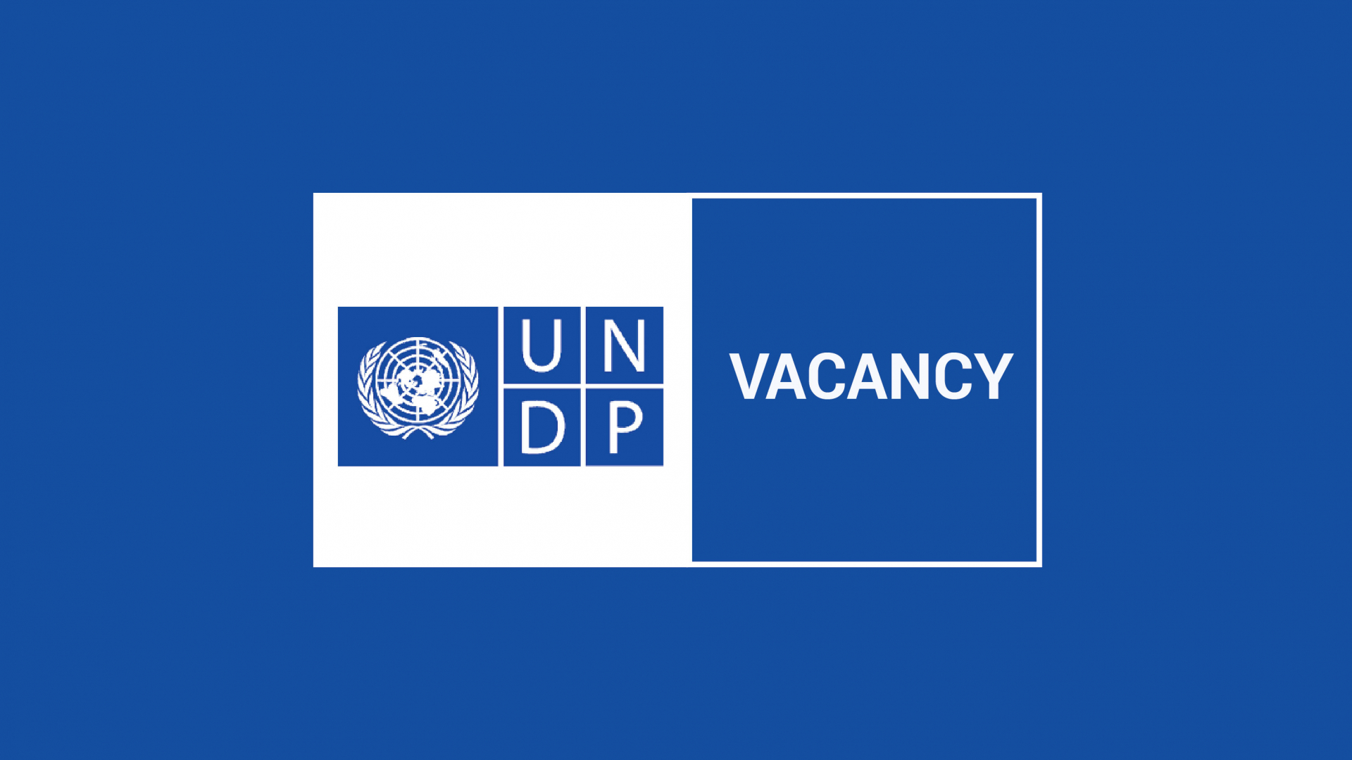 Bakalavr bosqichini tamomlaganlar uchun Birlashgan Millatlar Tashkilotining taraqqiyot dasturi (UNDP) tomonidan 3 oylik amaliyot dasturi