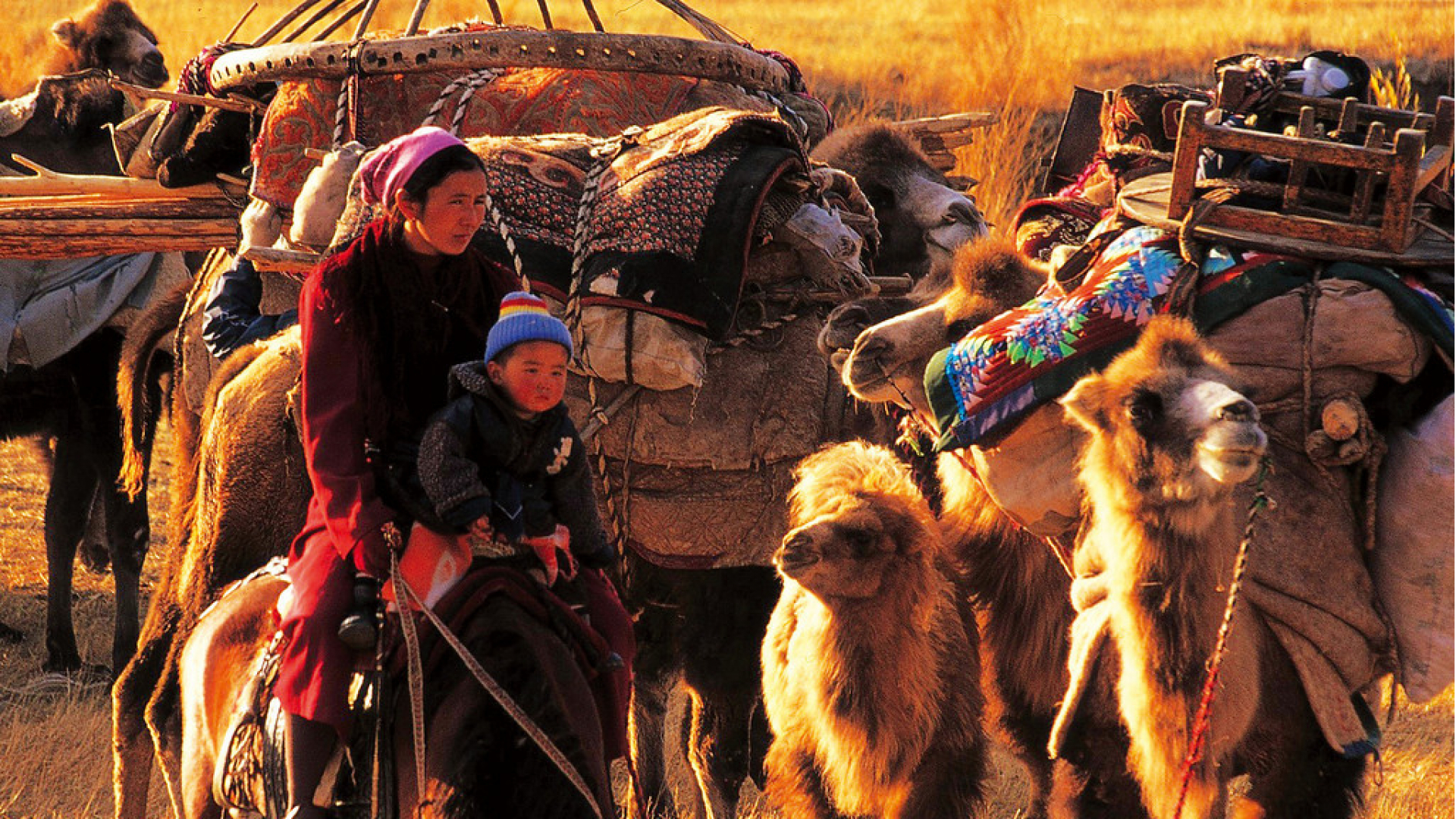 UNESCO tashkiloti tomonidan “Ipak yo‘li yoshlar nigohida” nomli xalqaro fotosuratlar tanlovi. G'oliblar fotoapparatlar bilan taqdirlanadi