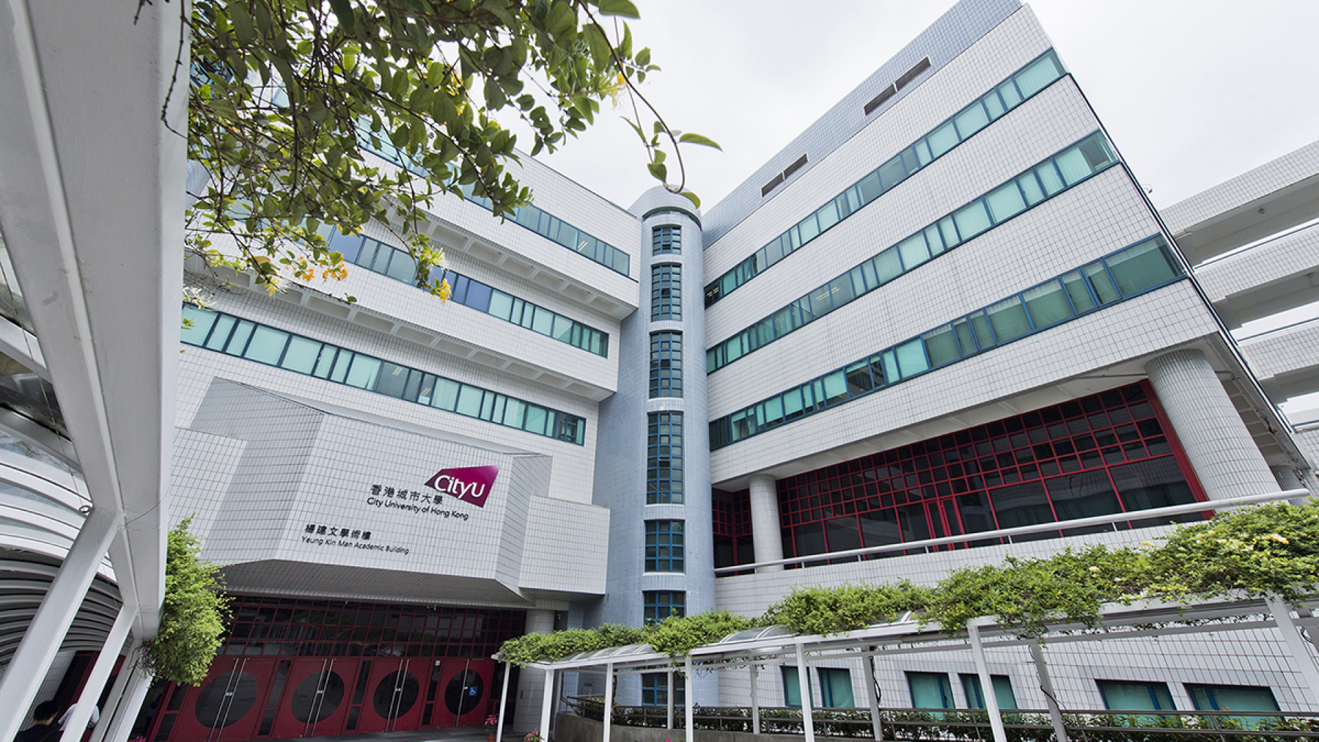 Bakalavr bosqichida oʻqish uchun dunyoning eng nufuzli universitetlaridan biri — City University of Hong Kong tomonidan toʻliq va qisman qoplanuvchi grantlar