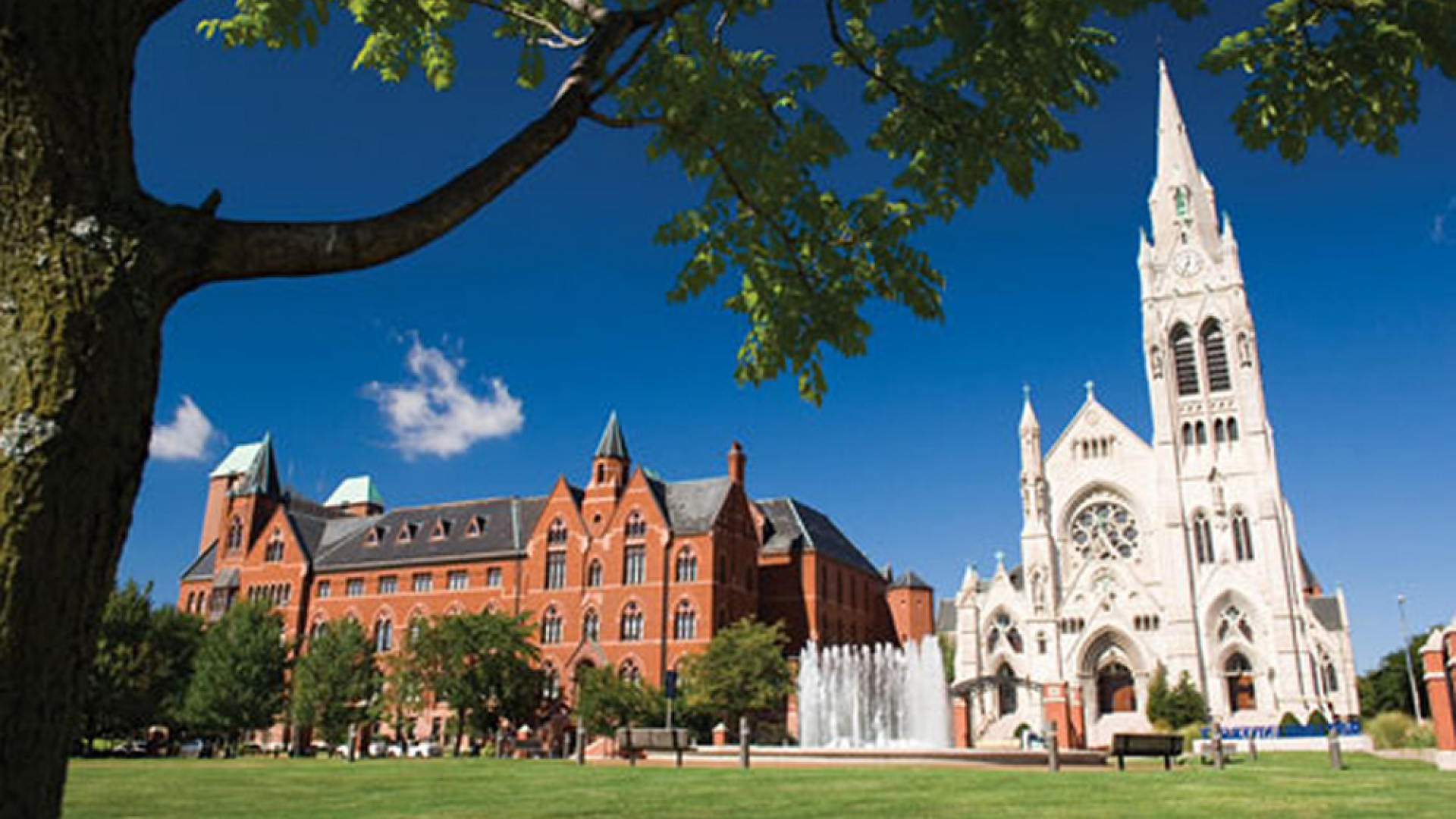Saint Louis Universiteti tomonidan bakalavr bosqichida 4 yil davomida bepul o‘qish imkonini beruvchi Presidential Scholarship granti 