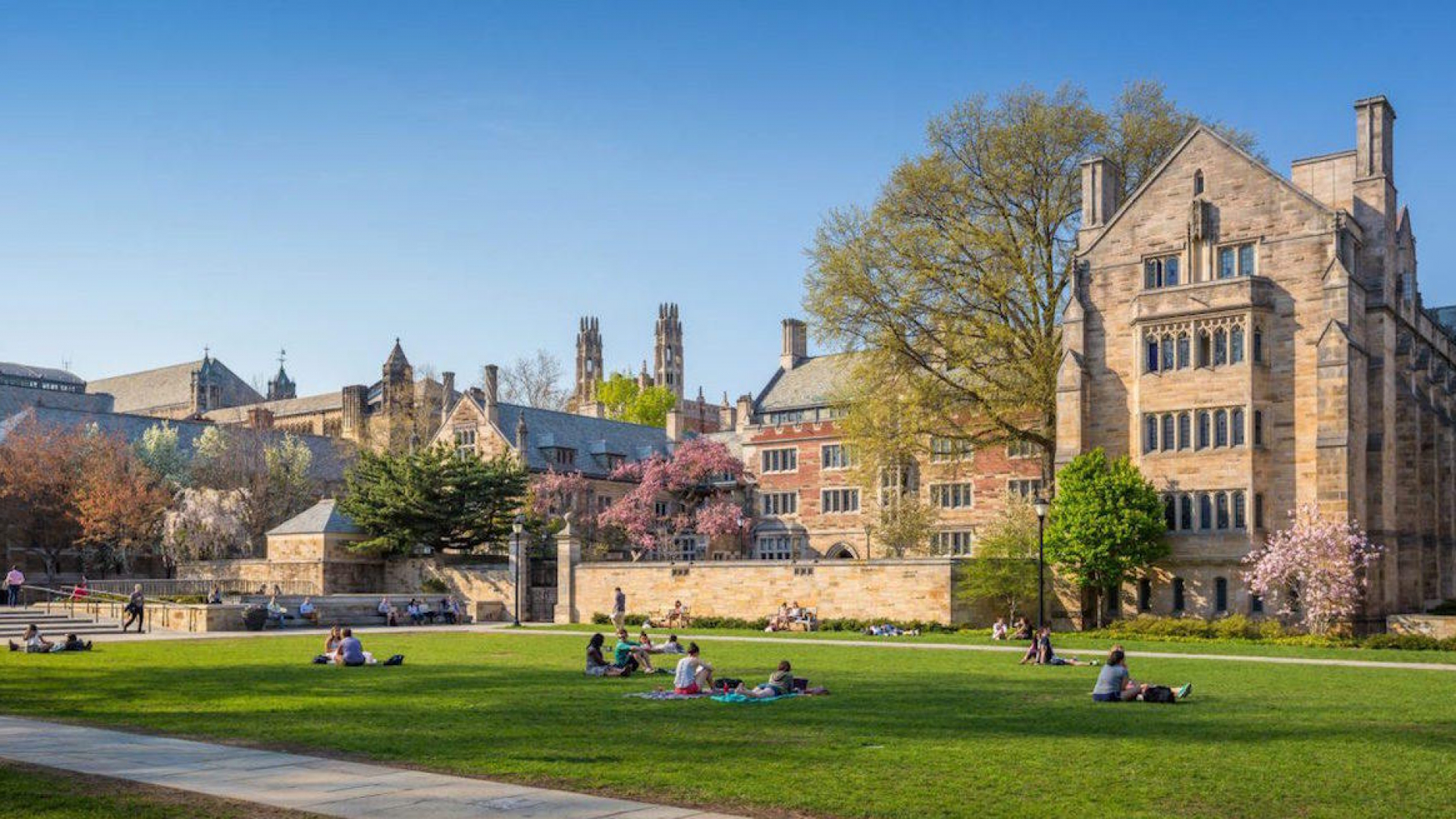 AQShning Yale universitetidan 2 haftalik yozgi maktabda 100% bepul qatnashish imkonini beruvchi Yale Young Global Scholarship dasturi