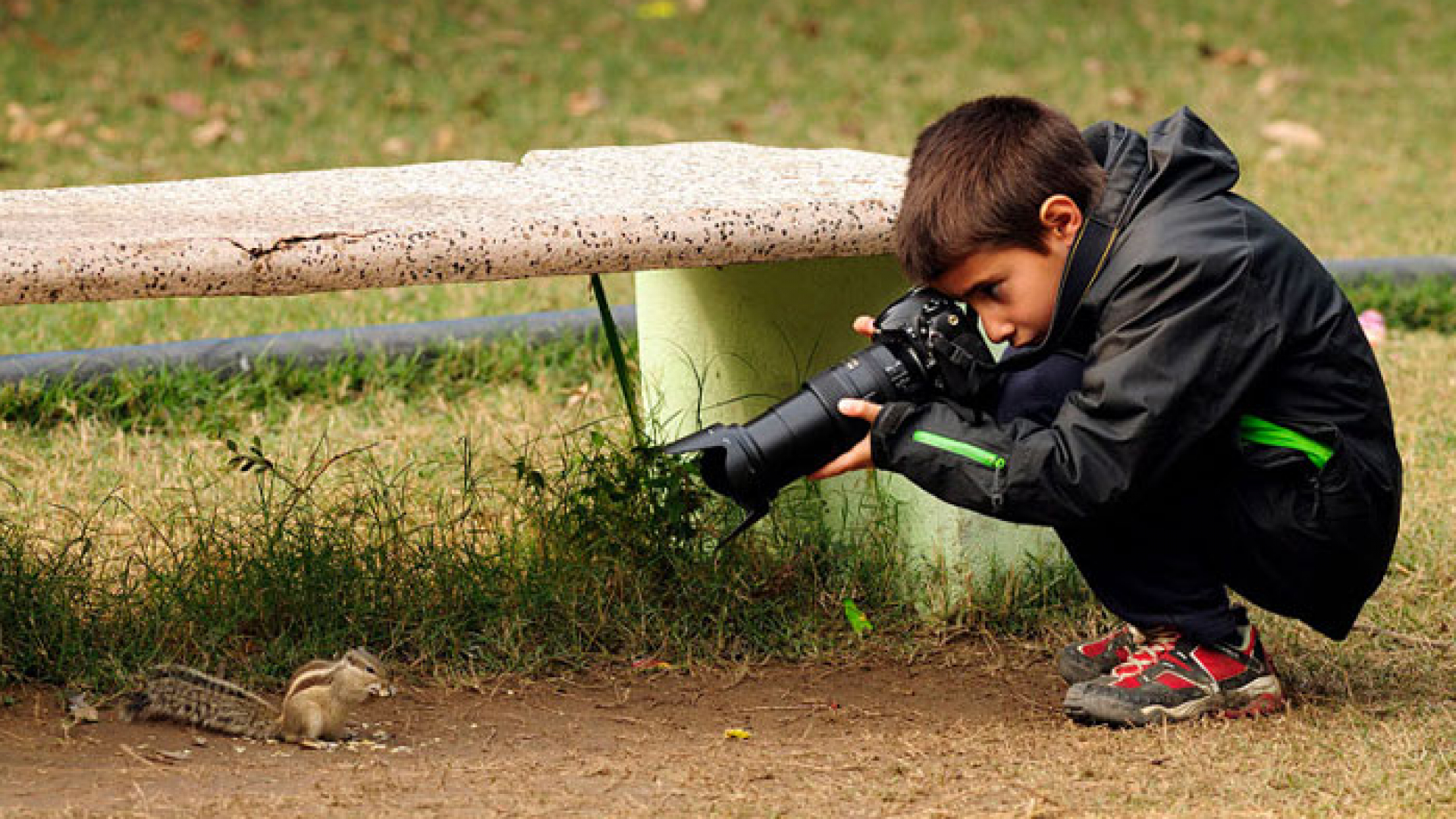 17 yoshdan kichik fotografiyaga qiziquvchilar uchun Young Wildlife Photographer of the Year fototanlovi. G'oliblarga £1500 pul mukofoti va Londonga sayohat!