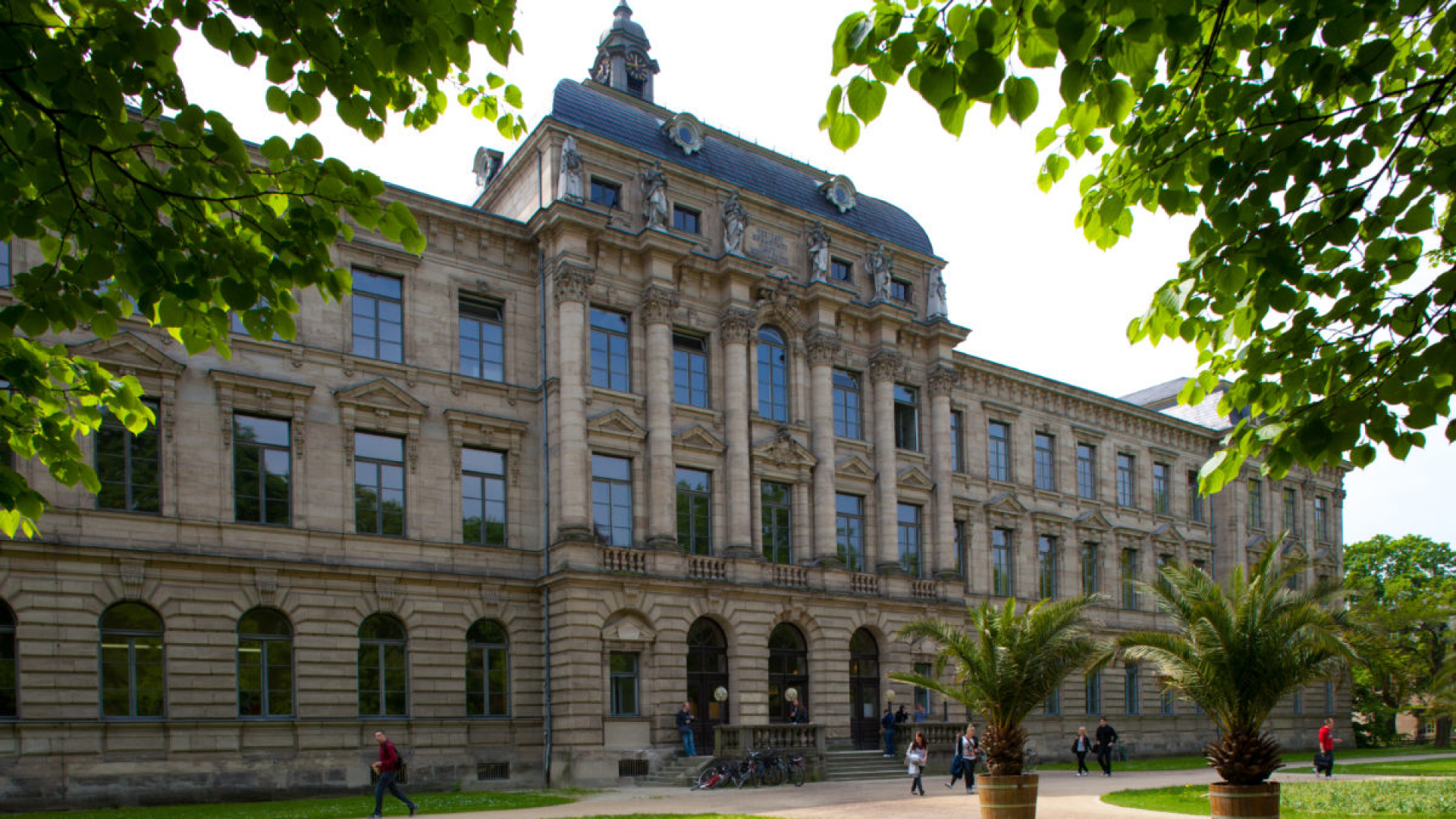 Germaniyada bakalavr va magistratura bosqichi talabalari uchun haq toʻlanadigan 8 haftalik Summer Student Programme dasturi