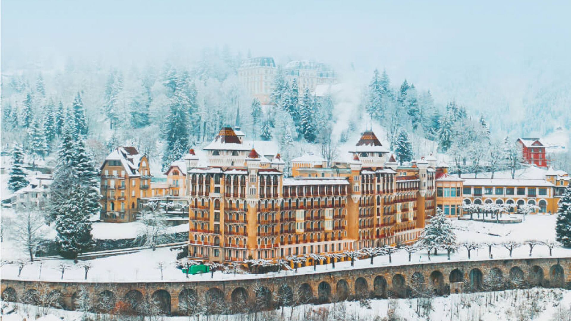 “Swiss Education Group”dan Shveytsariyada taʼlim olish uchun 100% lik grant dasturi