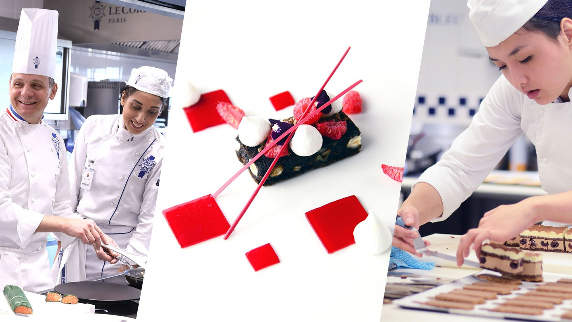 Toshkent shahar hokimligi tomonidan oʻrta va oliy maʼlumotli yoshlar uchun pazandachilik va mehmonxona boshqaruvi boʻyicha Fransiyaning nufuzli Le Cordon Bleu maktabida bepul oʻqish imkoniyati. Barcha xarajatlar toʻliq moliyalashtiriladi