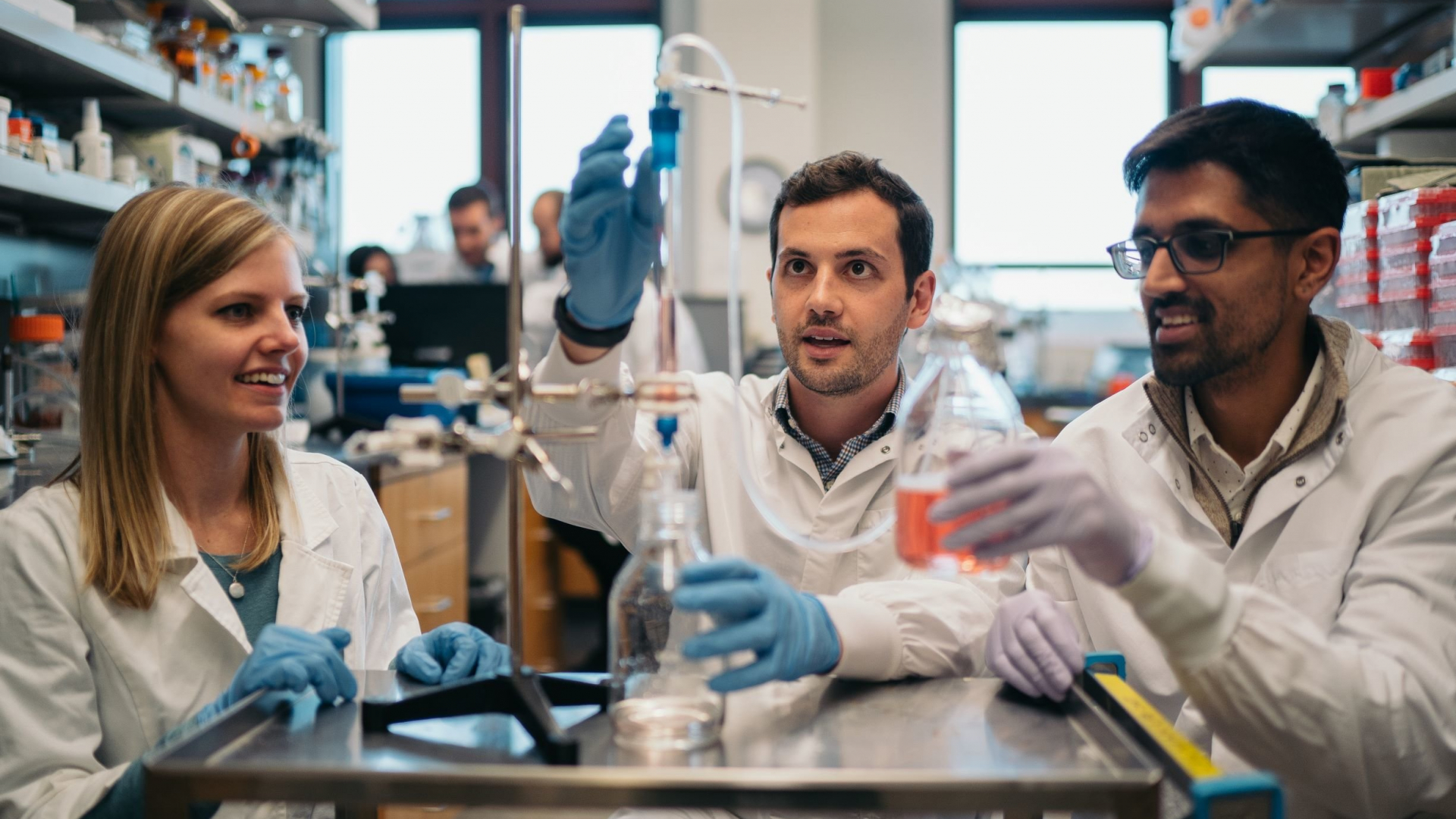 Biotexnika bo'yicha yuqori kurs talabalari, aspirantlari va bitiruvchilar uchun Rossiyada bepul yozgi maktab — Summer School for Biomedical Data Analysis