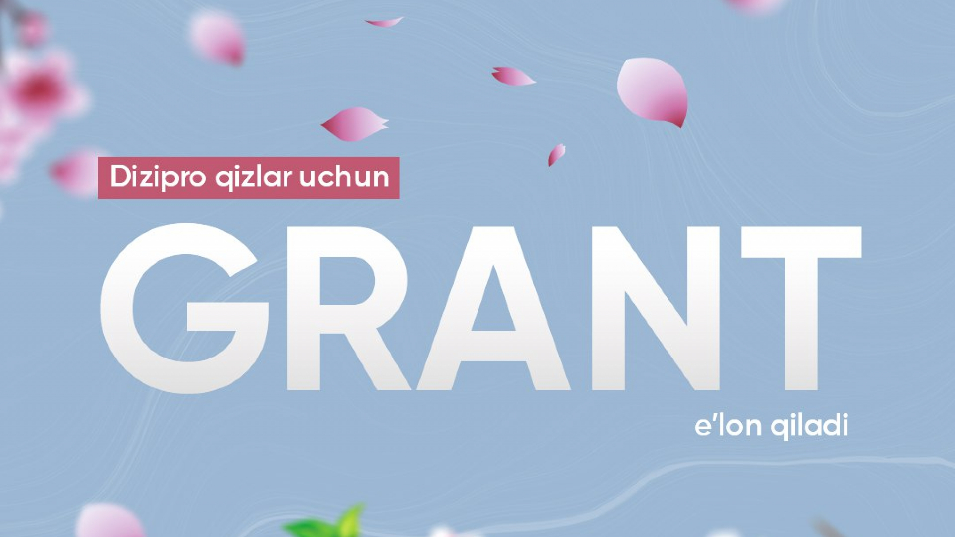 Dizipro oʻquv markazi tomonidan 3D modellash sohasini oʻrganishni istaydigan 14 yoshdan katta qizlar uchun “Qizlar kelajagi uchun” taʼlim granti