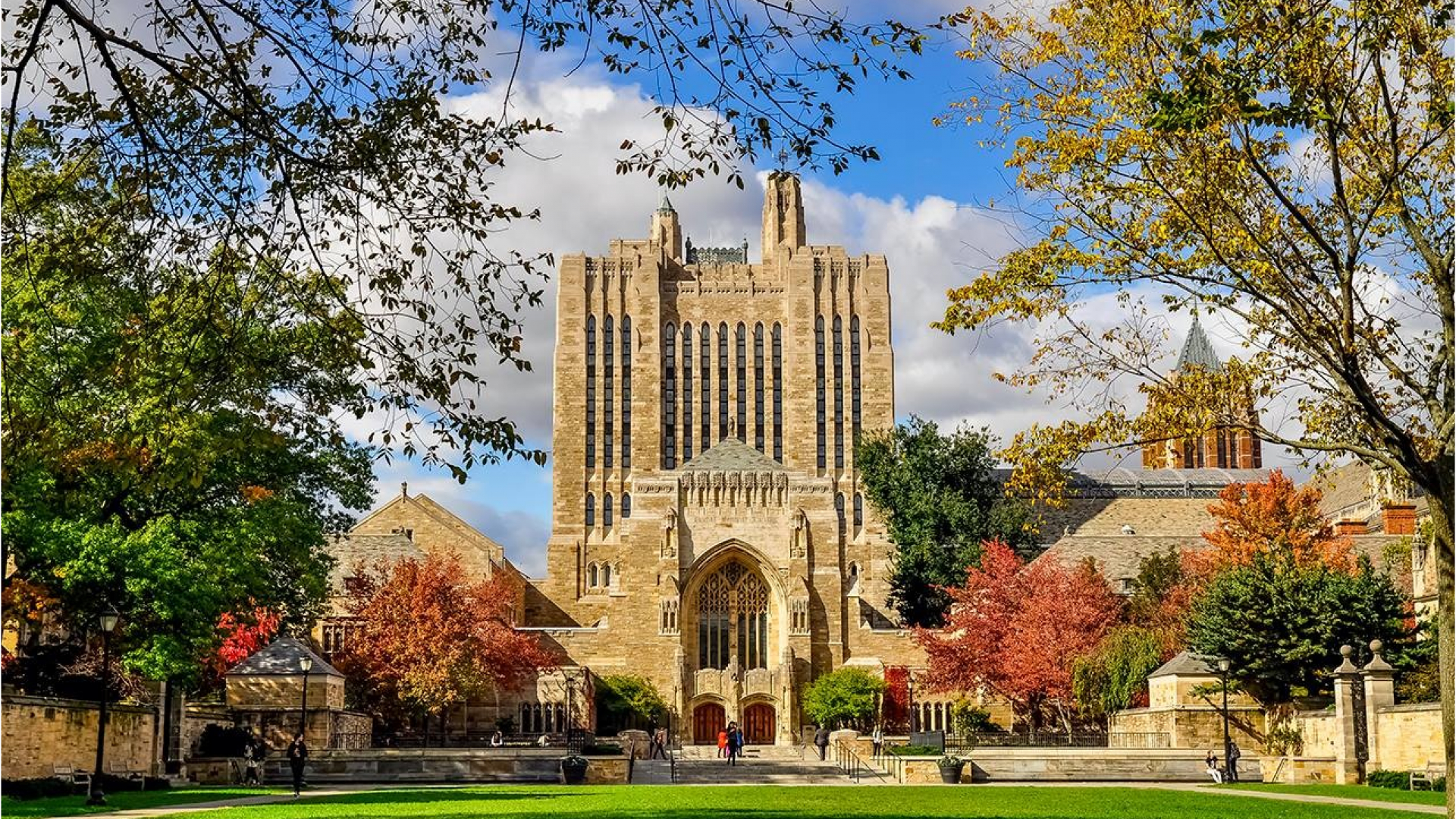 AQShning Yale universitetida xarajatlari toʻliq qoplanadigan professional rivojlanish dasturi — 2026 World Fellows program