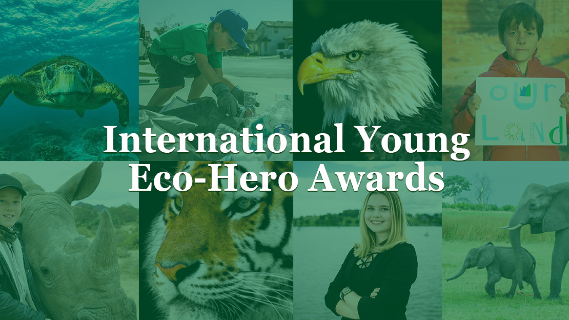 International Eco-Hero Awards — 8-16 yosh orasidagi tashabbuskor yoshlarning ekologik loyihalari bo'yicha xalqaro tanlov