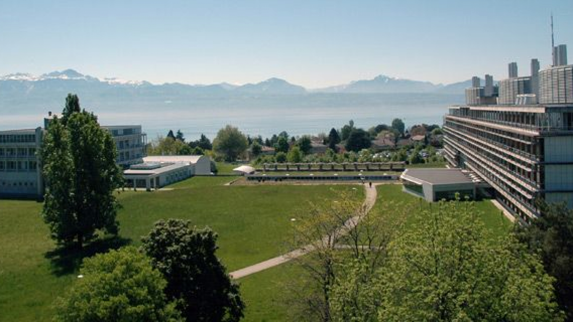Tibbiyot hamda biologiya sohasidagi bakalavr talabalari uchun Shveysariyada ilmiy tadqiqot qilish imkoniyati — Summer Undergraduate Research program