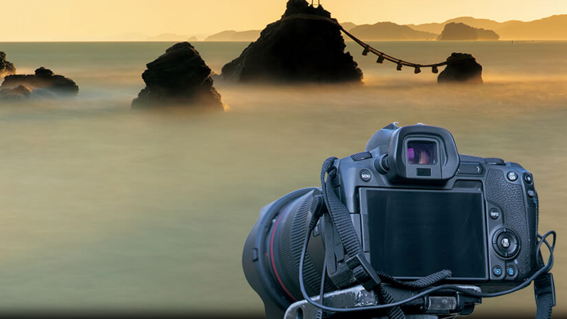 Royal Society of Biology competition: barcha havaskor fotograflar uchun fotosuratlar tanlovi. Bosh sovrin — £1000!