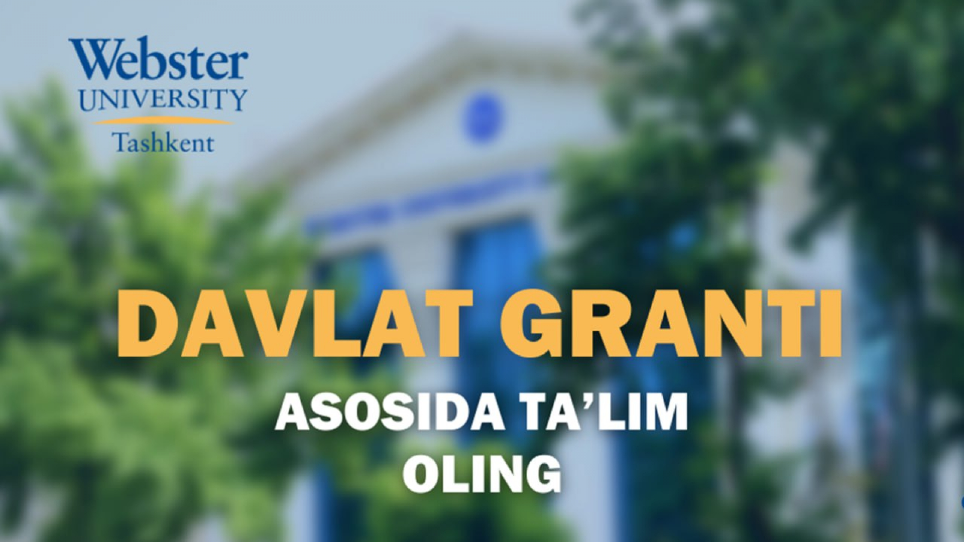 Webster universitetida davlat granti