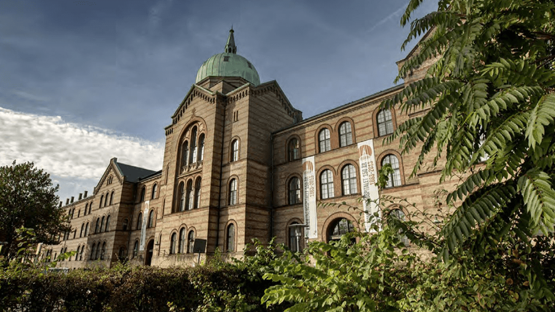 Daniyaning Kopengagen universitetida toʻliq grant asosida oʻqish imkoniyati — Danish Government Scholarships dasturi