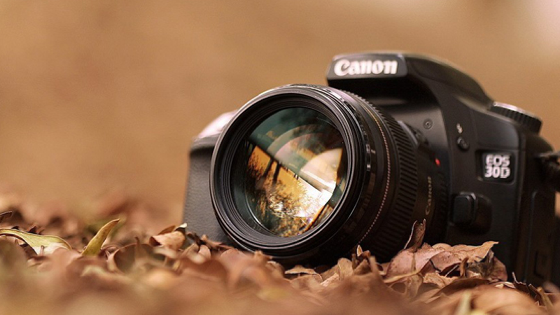 Yosh fotosuratchilar uchun Fransiyada xarajatlari qoplanadigan xalqaro rezidentlik dasturi — Young International Photography 2025