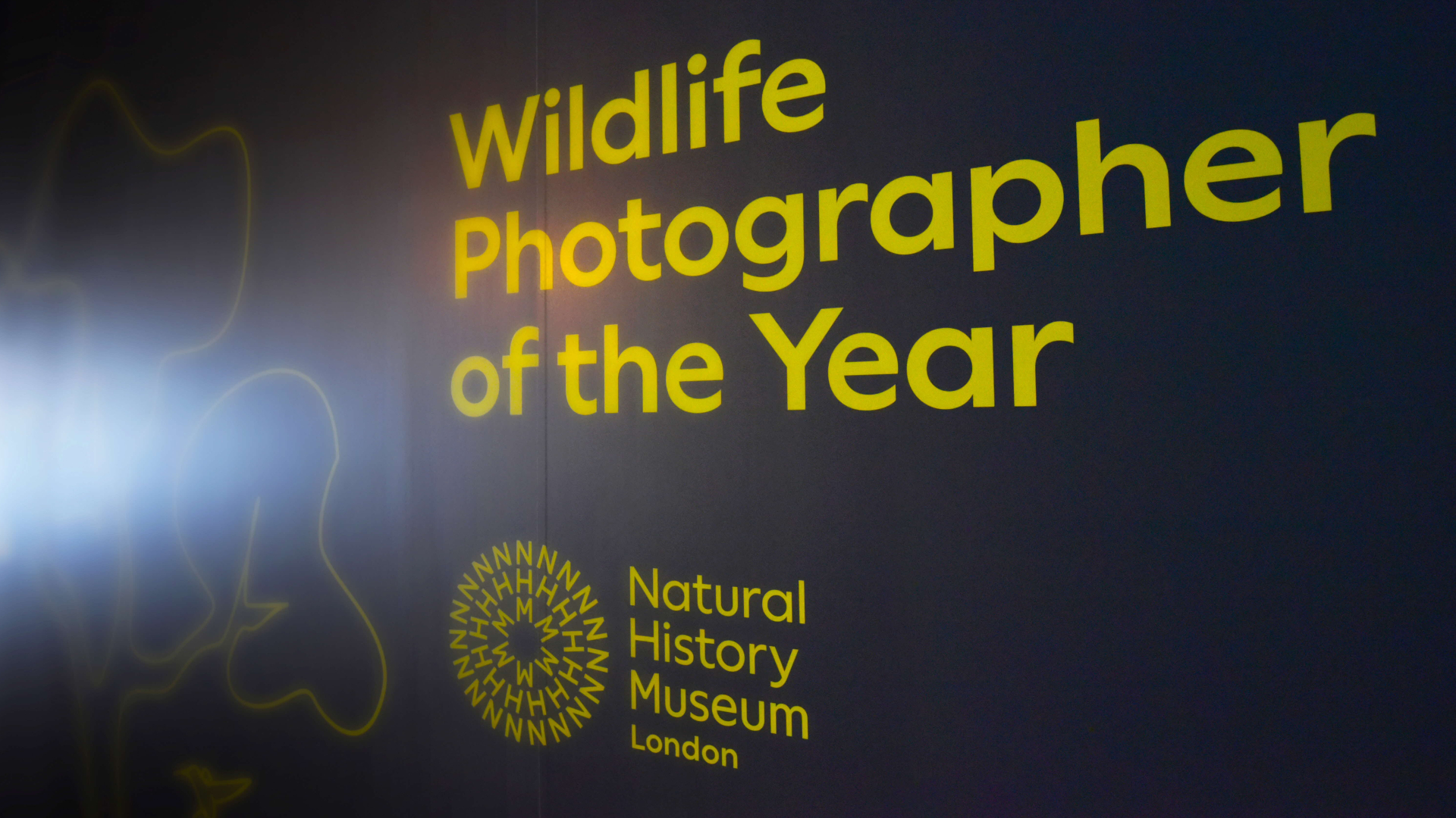 18 va undan yuqori yoshdagi fotosuratchilar uchun Wildlife Photographer of the Year fototanlovi. Gʻoliblarga £10,000 pul mukofoti va Londonga sayohat!