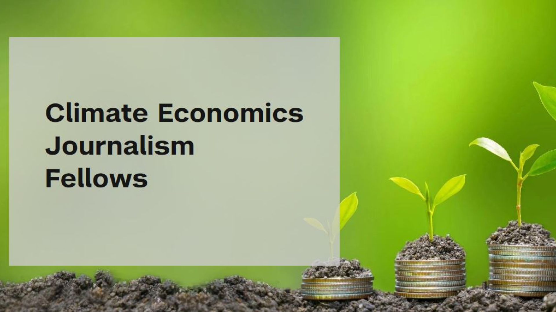 Jurnalistlar uchun AQShda xarajatlari qoplanadigan Climate Economics Journalism Fellowship dasturi